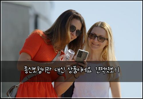 종신보험이란 대신 상품이에요 견적엿보기