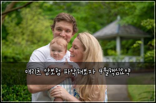 매리츠 암보험 파악해보자  4월핵심요약