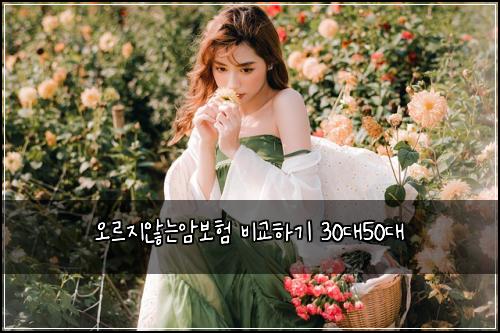 오르지않는암보험 비교하기  30대50대