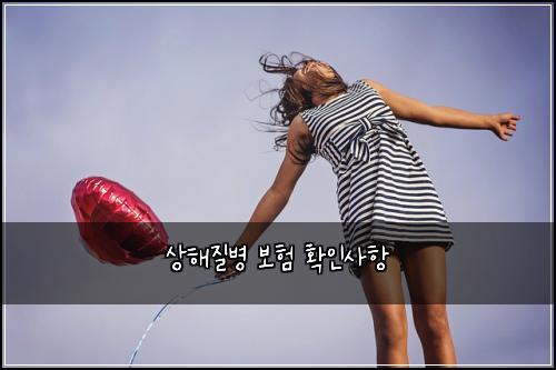 상해질병 보험 확인사항 