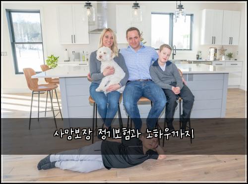 사망보장 정기보험과 노하우까지