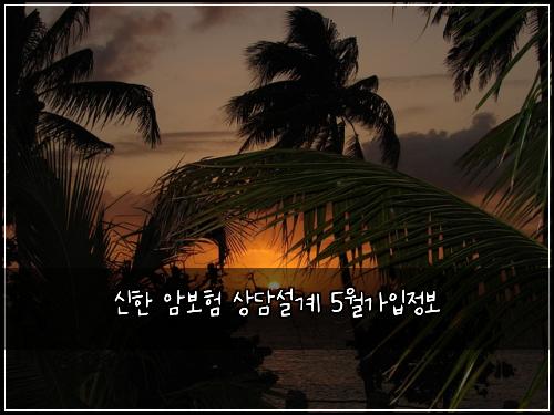 신한 암보험 상담설계  5월가입정보