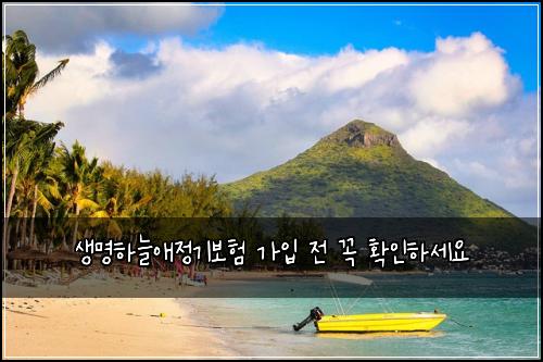 생명하늘애정기보험 가입 전 꼭 확인하세요