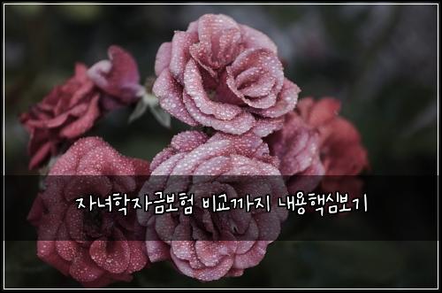 ์๋
ํ์๊ธ๋ณดํ ๋น๊ต๊น์ง ๋ด์ฉํต์ฌ๋ณด๊ธฐ