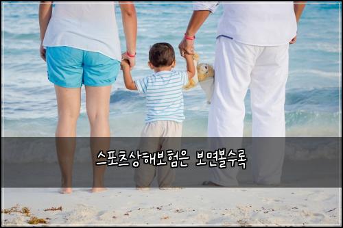 스포츠상해보험은 보면볼수록