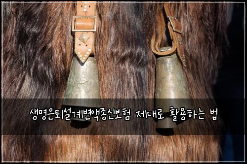 생명은퇴설계변액종신보험 제대로 활용하는 법