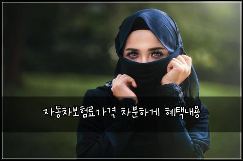 자동차보험료가격 차분하게 혜택내용