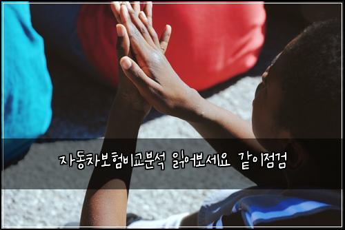 자동차보험비교분석 읽어보세요 같이점검