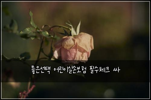 ์ข์์ ํ ์ด๋ฆฐ์ด์ค์๋ณดํ ํ์์ฒดํฌ ์ธ