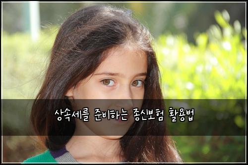 상속세를 준비하는 종신보험 활용법