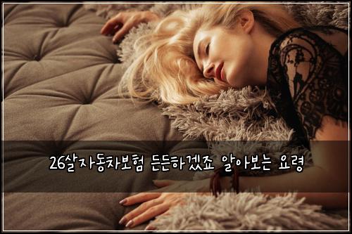 26살자동차보험 든든하겠죠  알아보는 요령