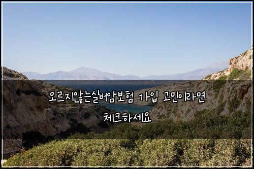 오르지않는실버암보험 가입 고민이라면 체크하세요