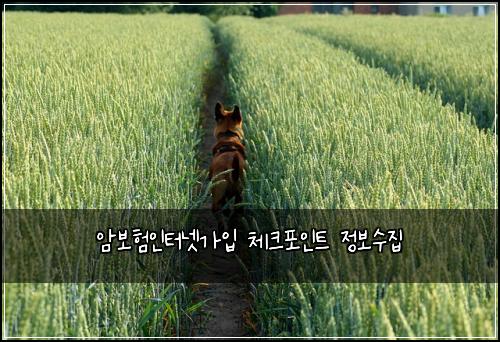 암보험인터넷가입 체크포인트 정보수집