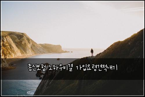 종신보험 노하우비결  가입요령견적내기