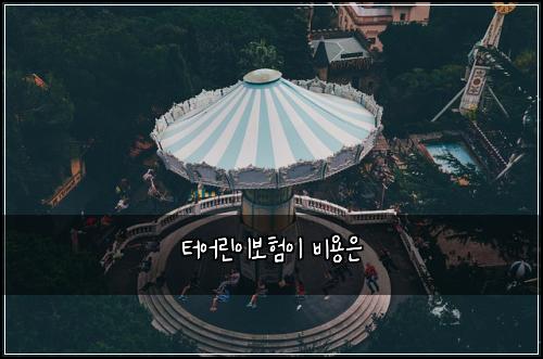 터어린이보험이 비용은