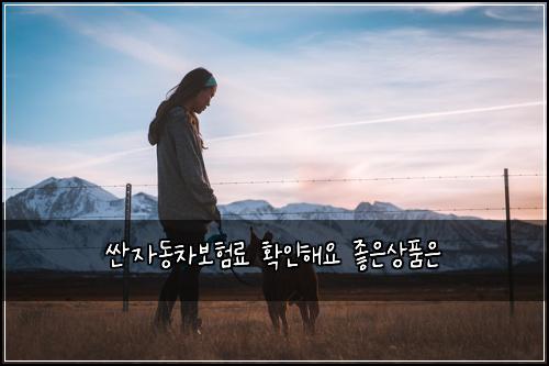 싼자동차보험료 확인해요 좋은상품은