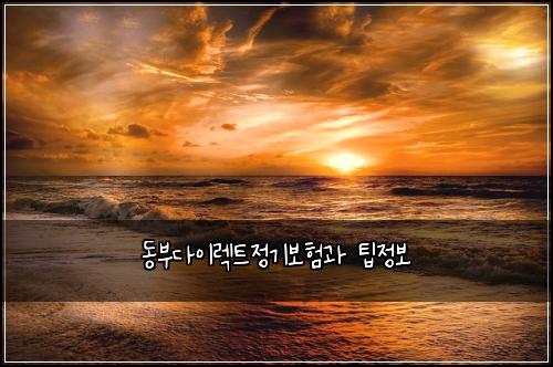 동부다이렉트정기보험과 팁정보