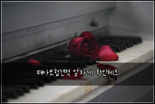 ํ์๋ณดํ๊ฒฌ์ ์์ฐจ๊ฒ ํ์ธ์ฒดํฌ