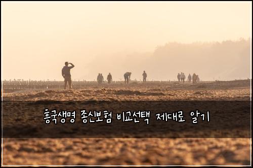 흥국생명 종신보험 비교선택  제대로 알기
