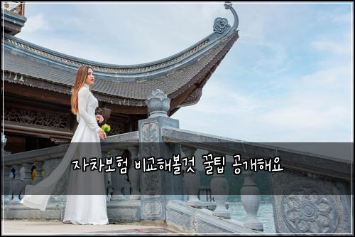 자차보험 비교해볼것  꿀팁 공개해요