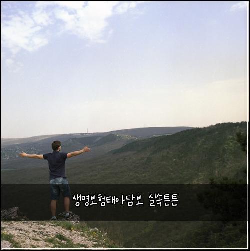 생명보험태아담보 실속튼튼