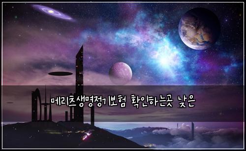 메리츠생명정기보험 확인하는곳  낮은