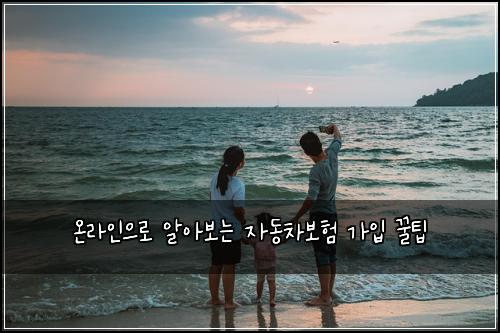 온라인으로 알아보는 자동차보험 가입 꿀팁