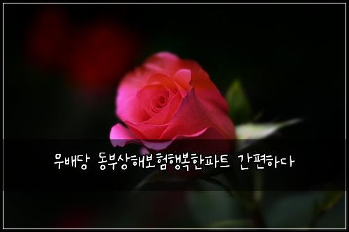 무배당 동부상해보험행복한파트 간편하다
