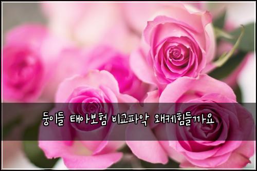 둥이들 태아보험 비교파악  왜케힘들까요