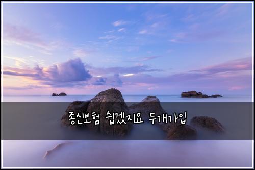 종신보험 쉽겠지요  두개가입