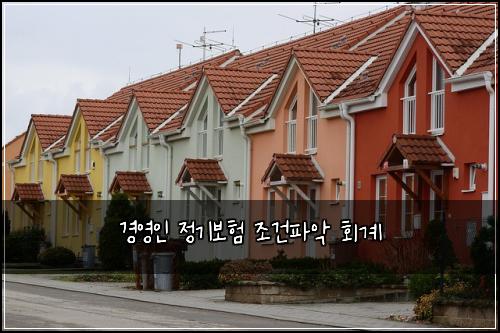 경영인 정기보험 조건파악  회계