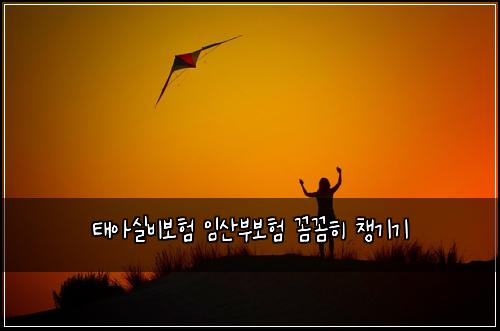 태아실비보험 임산부보험 꼼꼼히 챙기기