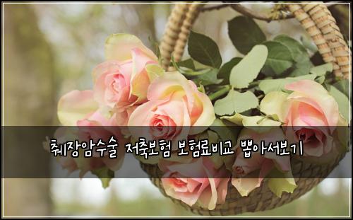 췌장암수술 저축보험 보험료비교 뽑아서보기