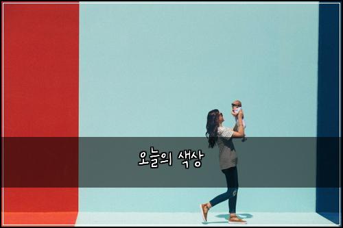 오늘의 색상
