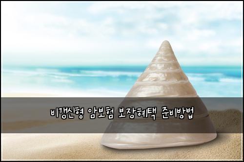 비갱신형 암보험 보장혜택  준비방법