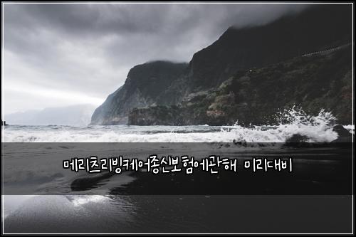 메리츠리빙케어종신보험에관해 미리대비