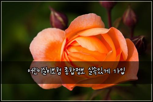 어린이실비보험 종합정보  실속있게 가입