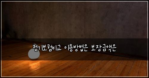정기보험비교 이용방법은 보장금액은
