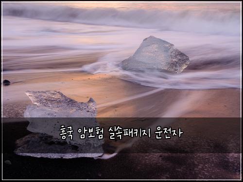 흥국 암보험 실속패키지  운전자