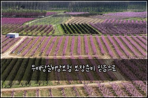 ๋ฌด๋ฐฐ๋น์ค๋ฒ์๋ณดํ ๋ณด์ฅ์ค๋น ๋ฏฟ์์ผ๋ก