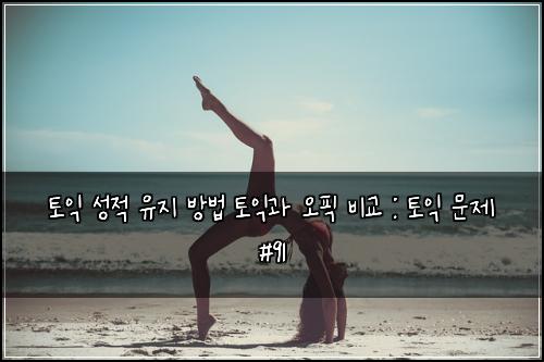 토익 성적 유지 방법 토익과 오픽 비교 : 토익 문제 #91