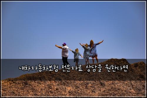 내차자동차보험 전문자료  상담을 원한다면