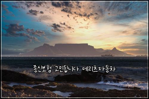 종신보험 고민됩니다  메리츠자동차