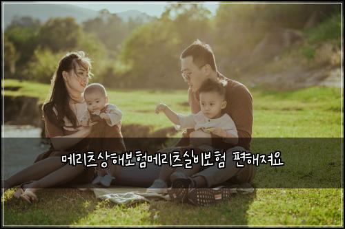 메리츠상해보험메리츠실비보험 편해져요
