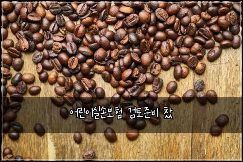 어린이실손보험 검토준비  찼