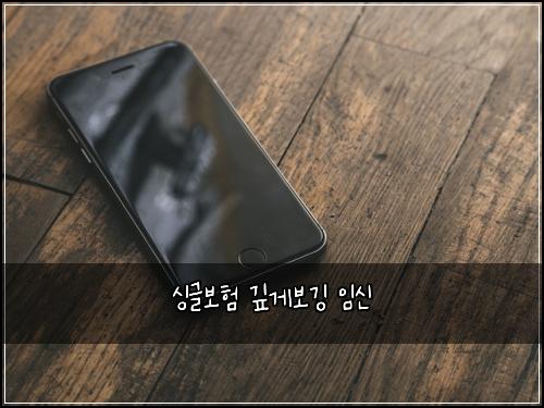 싱글보험 깊게보깅  임신