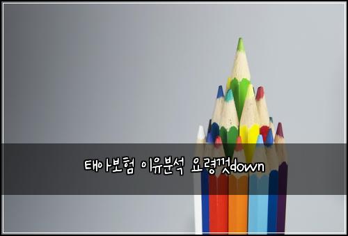 태아보험 이유분석  요령껏down