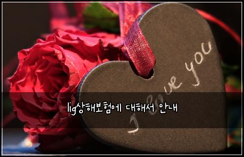 lig상해보험에 대해서 안내