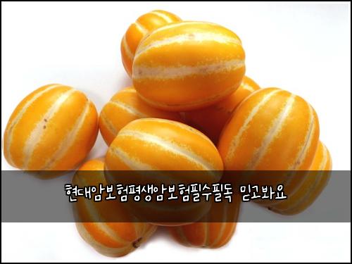 현대암보험평생암보험필수필독 믿고봐요