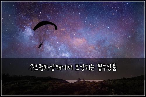 무보험차상해에서 보상되는 필수상품